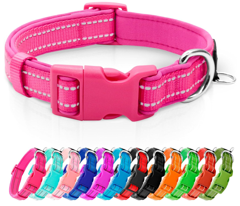 Best Little Dog Collars