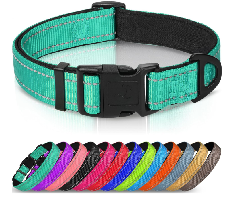 Best Little Dog Collars