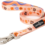 Best Dog Leashes for Large Dogs: A Complete Guide