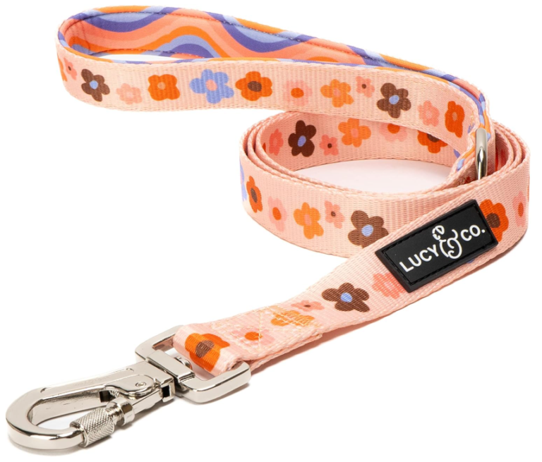 Looking for the best dog leashes for large dogs? Discover durable, strong, and comfortable leashes designed for big dogs to ensure safety and control during walks.