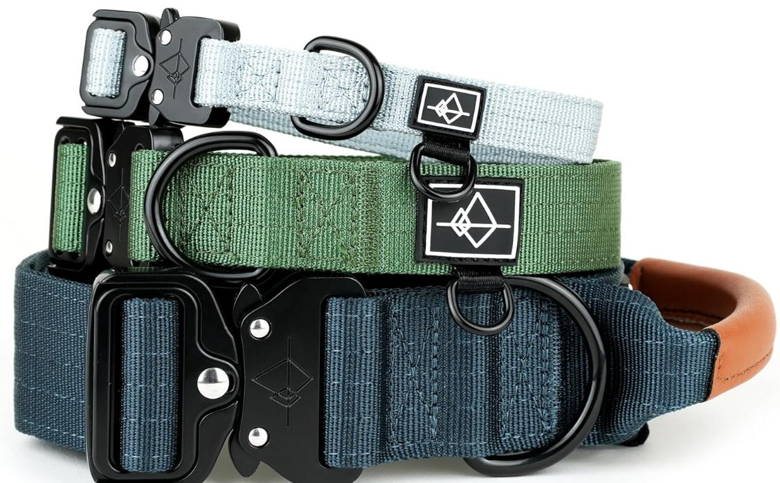 Best Little Dog Collars