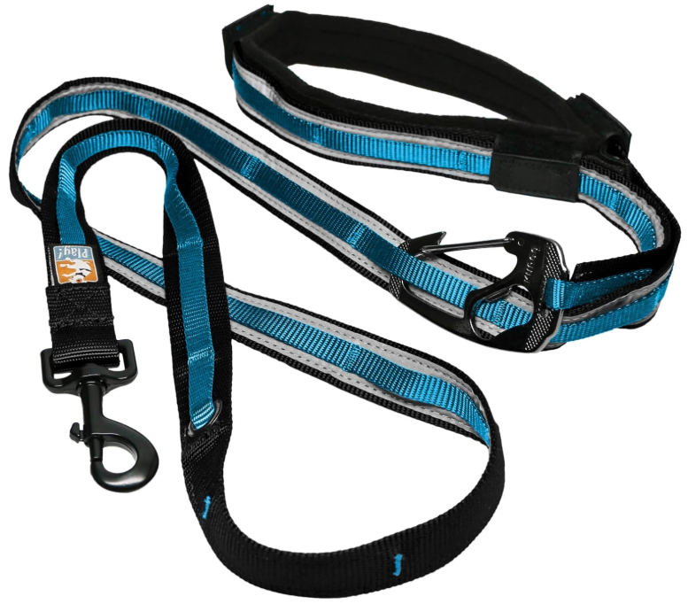 Best Dog Leashes