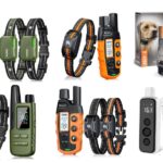 Best Dog Training Collars Top Picks Buying Guide