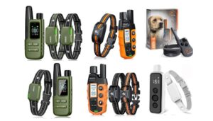 Read more about the article Best Dog Training Collars: Top Picks & Buying Guide