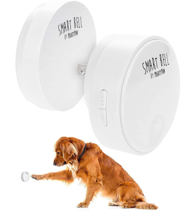Dogs to Potty Train
