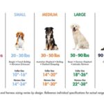 Dog Apparel Size Chart