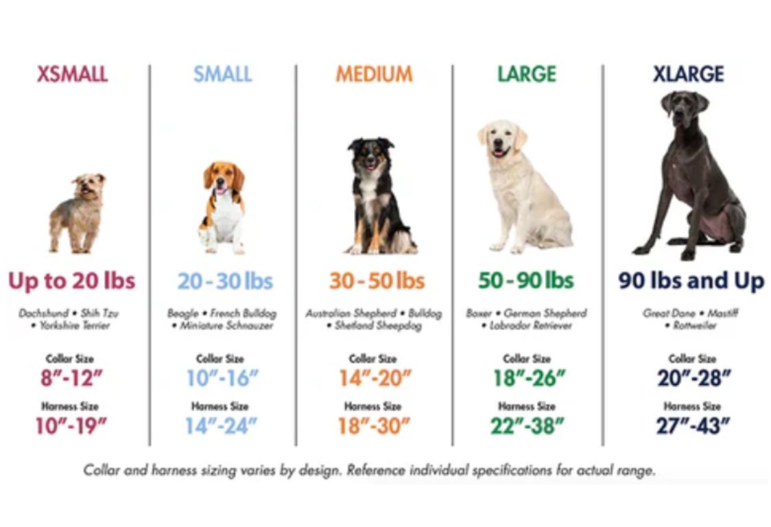 You are currently viewing Dog Apparel Size Chart: Find the Perfect Fit for Your Furry Friend
