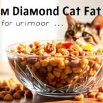 Diamond Care Urinary Cat Care Dry Cat Food