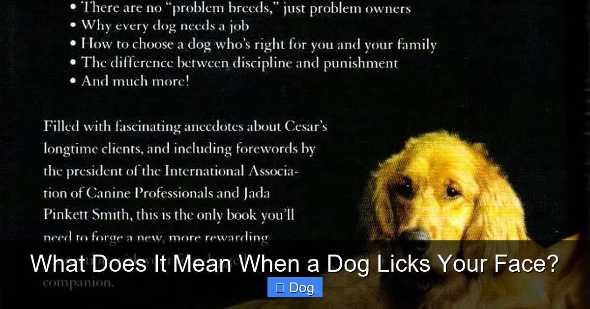 You are currently viewing What Does It Mean When a Dog Licks Your Face?