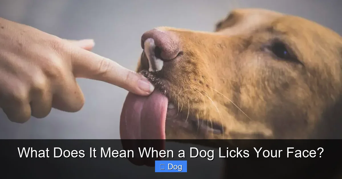 What Does It Mean When a Dog Licks Your Face?